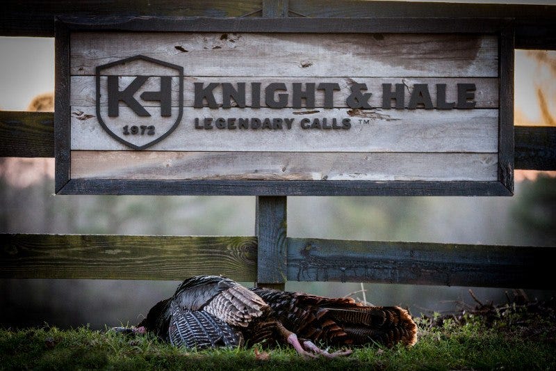 Turkey Laying Under Knight and Hale Sign 