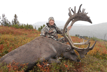 Chris Parish with a Barren Ground Caribou