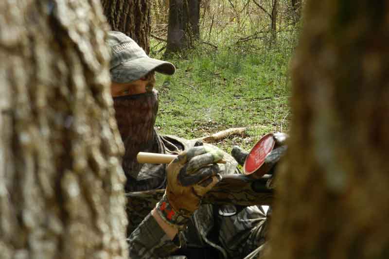 Hunter Using Box Call for Turkeys 