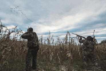 Two Hunters During Goose Season