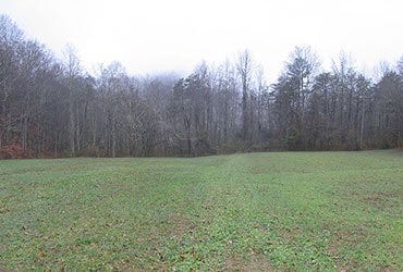 Food Plot Maintenance 